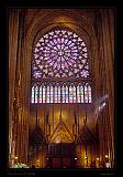 Notre Dame 033